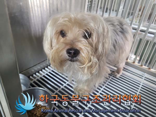 한국동물구조관리협회_411306202400209